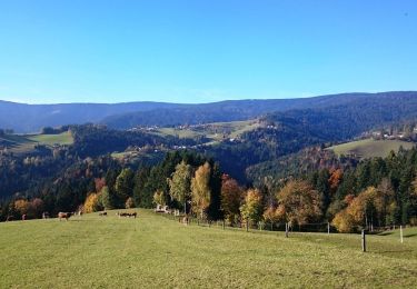 Percorso A piedi Zreče - Gorenje 8 - Photo