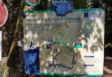 Trail Walking Lepuix - Giromagny - sentier des mines - 2 à visiter - Photo