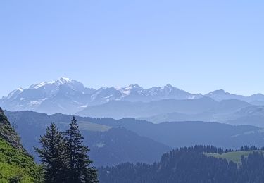 Trail Walking La Giettaz - Rando Marmotte  - Photo
