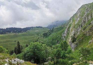 Tour Wandern Les Rousses - 2020-07-12_19h53m02_3 PED - MONTS & COMTE Boucle Chalet de la Dole par Sommet - Photo