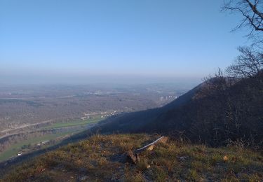 Trail Walking Ougney-Douvot - ougney la Roche (douvot) - Photo