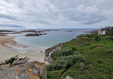 Tour Wandern Trégastel - Tregastel - Photo