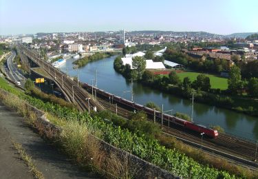 Tour Zu Fuß  - Steinweinpfad - Photo