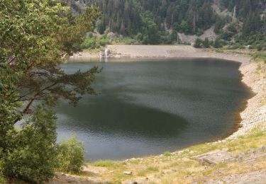 Trail Walking Orbey - randonnée des 3 lacs, lac noir , lac blanc et lac du former ( lac des truites) Vosges  - Photo