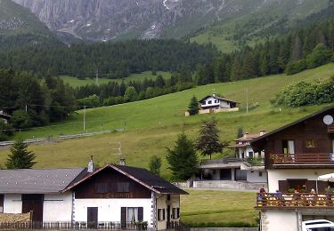 Excursión A pie Castione della Presolana - CAI319: Passo della Presolana - Colle della Presolana - Malga della Presolana - Photo