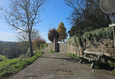 Randonnée Marche Esneux - A la découverte d'Esneux  - Photo