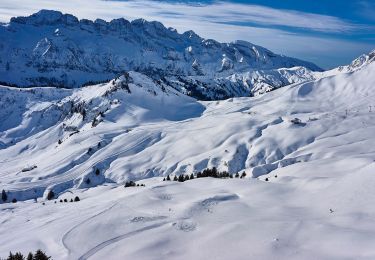 Tocht Te voet Val-d'Illiez - Les Crosets-Sur Cou - Photo