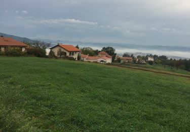 Excursión Bici de montaña Saint-Maurice-de-Lignon - 29km St Maurice  - Photo