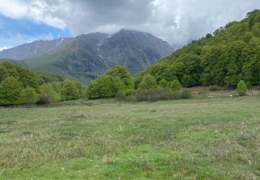 Trail Mountain bike Arreau - Col d’Aspin - Photo