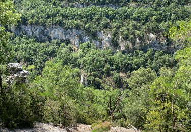 Randonnée Marche La Palud-sur-Verdon - Sentier Martel  - Photo