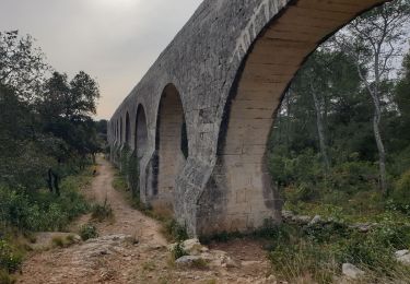 Excursión Senderismo Castries - aqueduc Castries 2 - Photo