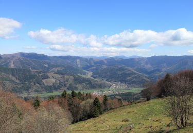 Trail Walking Rougemont-le-Château - BAERENKOPF - Photo