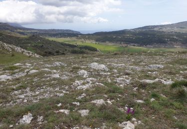 Tour Wandern Cipières - Cipieres observatoire Calern - Photo