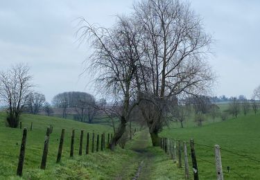 Tour Wandern Ottignies-Louvain-la-Neuve - Promenade de Ceroux-Mousty - Photo