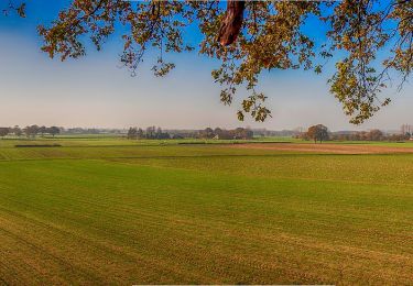 Tocht Te voet Hamminkeln - Brüner Höhen Rundweg A1 - Photo