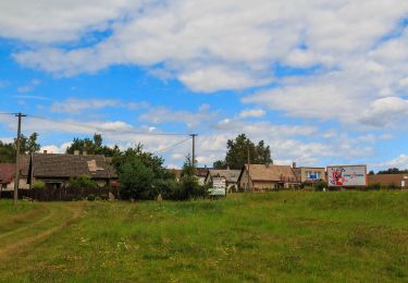 Randonnée A pied Knyk - [Z] Havlíčkův Brod - Rozňák - Photo