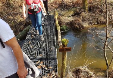 Tocht Stappen Rion-des-Landes - le prit - Photo