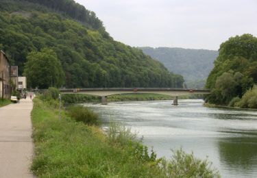 Percorso A piedi Besançon - Circuit des Coteaux de Rosemont - Photo