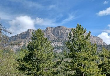 Trail Walking Le Castellard-Mélan - AUTHON , Col de Font-elles,  Tour d Ardouin o l - Photo