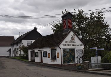 Randonnée A pied Hümmerich - Butterpfad - Photo