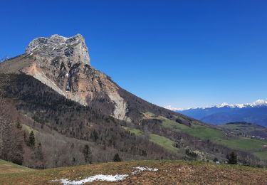 Trail Walking Saint-Nazaire-les-Eymes - Chateau-Nardent par le C9 - Photo