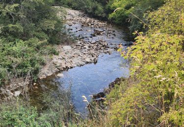 Tour Wandern Chile Chico - Cascadas los Maquis - Photo