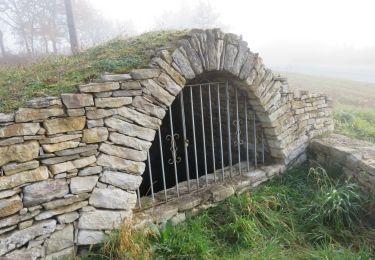 Trail Walking Cuzance - Cuzance chemin des fontaines  - Photo