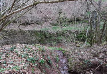 Trail Walking Champagney - Champagney - canal de la Haute-Saône - tunnel - Photo