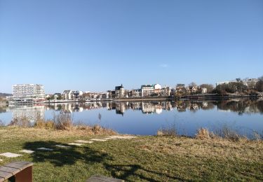 Tour Wandern Bellerive-sur-Allier - boucles des îles abrest  - Photo