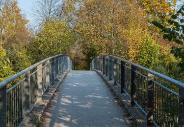 Tour Zu Fuß Kematen an der Krems - Tassiloweg - Photo