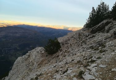 Tocht Stappen Bédoin - sentier du Vertige - Photo
