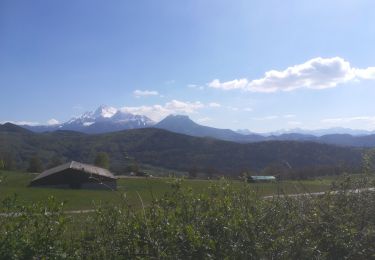 Percorso Marcia Siévoz - foison 2019 - Photo