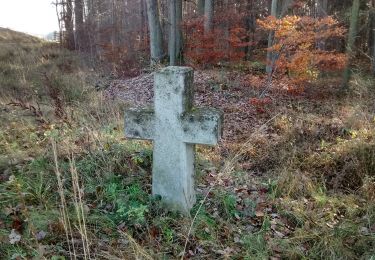 Tour Zu Fuß Neustadt an der Aisch - Rote Nordic Walking Strecke - Photo