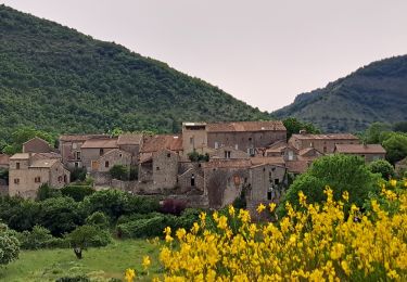 Trail Walking Vissec - Vissec à Navacelle - Photo