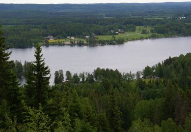 Trail On foot  - Lunedsleden - Photo