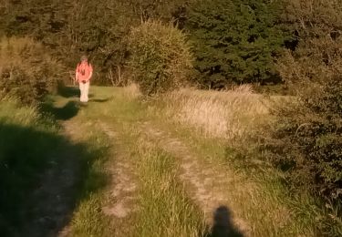Trail Walking Durbuy - Ozo - Pont-le-prêtre - Ozo - Photo