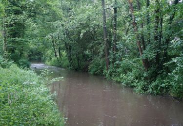 Tour Zu Fuß Bettrechies - La pierre, or bleu de la vallée du marbre - Photo