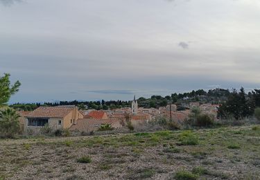 Percorso Marcia Leucate - leucate - cap des frères (sentier des bergers) -la franqui (sentier des guetteurs) - leucate (se tier des vignerons) - Photo