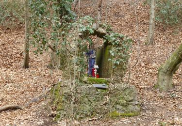 Tour Zu Fuß Bergisch Gladbach - [U] Rundweg Asselborn - Schiff - Hombach - Photo