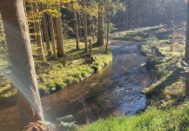 Tour Wandern Turquestein-Blancrupt - Saint Quirin le Kiboki - Photo