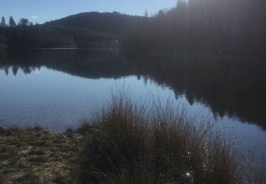 Tour Wandern Saint-Paul-en-Forêt - Meault  - Photo