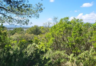 Tocht Stappen Signes - Chibron par les Armaris  - Photo