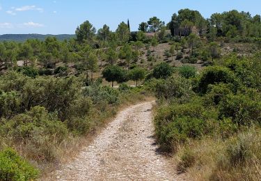 Tour Wandern Le Triadou - tour triadou, st Jean de cuculles - Photo