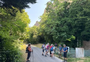 Tocht Stappen Les Mées - PF-Les Mées - Le Sentier des Pénitents des Mées - 19.06.2025 - Photo