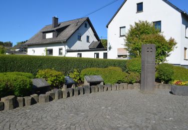 Randonnée A pied Langenhahn - Rotzenhahner Rundwanderweg R4 - Photo