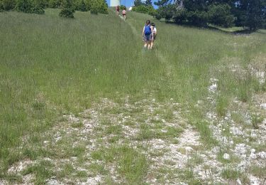 Tocht Trail Cucuron - Le Mourre Nègre - Sivergues au départ de Cucuron - Photo