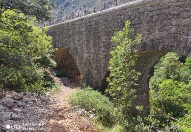 Randonnée Marche Sumène - Sumène - Pont des chèvres - Photo