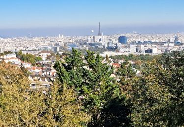 Trail Walking Viroflay - T- Meudon - Photo