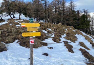 Trail Touring skiing Le Dévoluy - Col du Lauteret - Photo