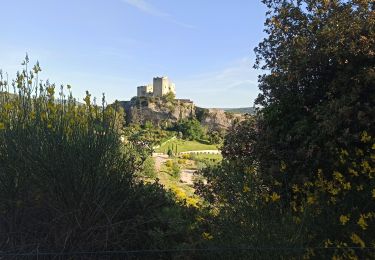 Randonnée V.T.T. Vaison-la-Romaine - Vaison Seguret - Photo